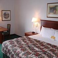 Hotel La Quinta By Wyndham Bay Area-tampa South
